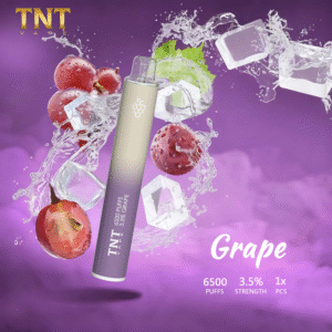 【葡萄】TNT拋棄式6500口 一次性小煙桿子