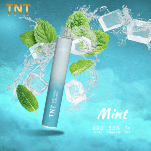 【薄荷】TNTVAPE拋棄式6500口 一次性小煙桿子推薦