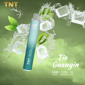 【鐵觀音】TNT拋棄式6500口 一次性小煙桿子